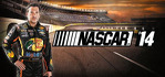 NASCAR 14