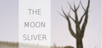 The Moon Silver