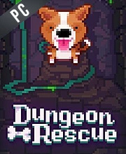 Fidel Dungeon Rescue