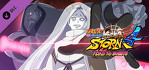 Naruto Storm 4 Road to Boruto Next Generation Pack
