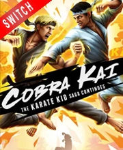 Cobra Kai The Karate Kid Saga Continues Nintendo Switch