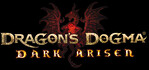 Dragon's Dogma Dark Arisen PS4
