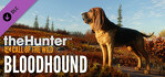 theHunter Call of the Wild Bloodhound Xbox Series