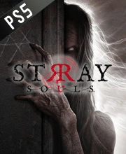 Stray Souls PS5