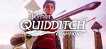 Harry Potter Quidditch Champions