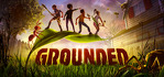 Grounded Steam Account