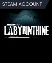 Labyrinthine Steam Account