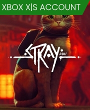 Stray Xbox Series Account