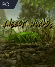 Insect Worlds