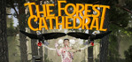 The Forest Cathedral Steam Account