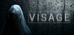 Visage Windows Account