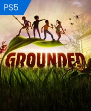 Grounded PS5