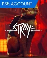 Stray PS5 Account