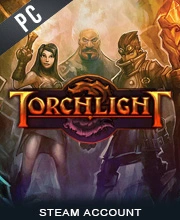 Torchlight Steam Account