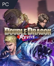 Double Dragon Revive