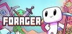Forager Steam Account