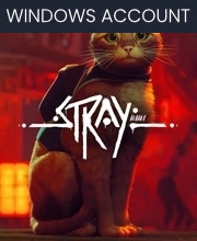 Stray Windows Account