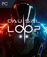 Causal Loop