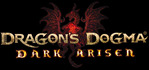 Dragon's Dogma Dark Arisen Steam Account