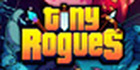 Tiny Rogues Steam Account