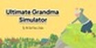 Ultimate Grandma Simulator
