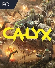 Calyx
