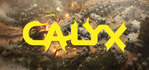 Calyx Steam Account