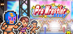 Pro Wrestler Story