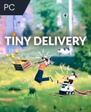 Tiny Delivery
