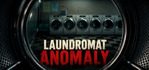 Laundromat Anomaly
