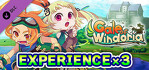 Gale of Windoria Experience x3