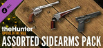 theHunter Call of the Wild Assorted Sidearms Pack PS4