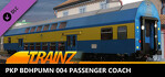 Trainz 2022 PKP Bdhpumn 004