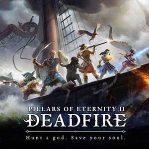 Pillars of Eternity 2 Deadfire Critical Role