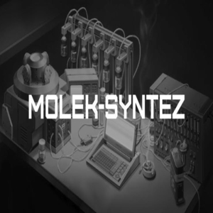 MOLEK SYNTEZ