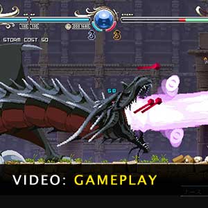 Record of Lodoss War-Deedlit in Wonder Labyrinth Nintendo Switch