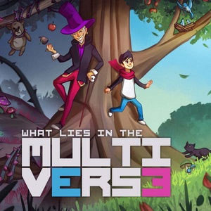 What Lies in the Multiverse