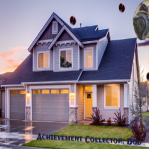 Achievement Collector Dog