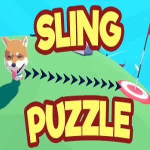 Sling Puzzle Gravity Master