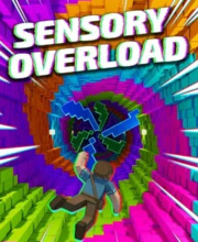 Sensory Overload